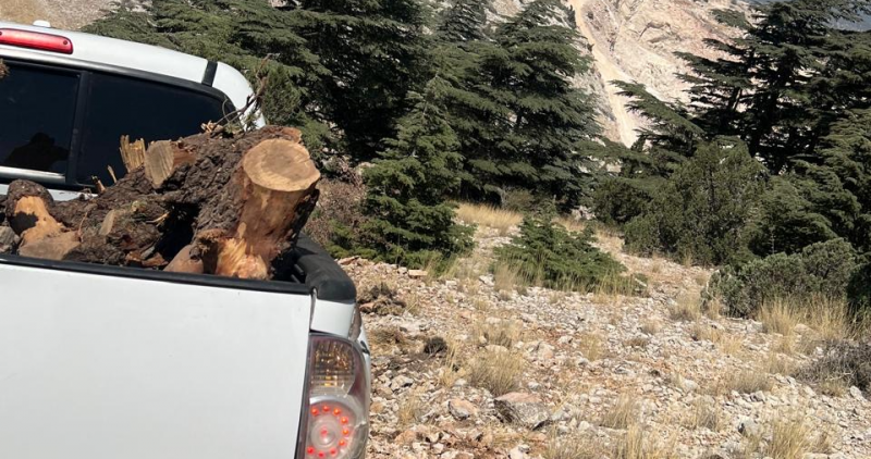 اعتداء بيئي في الهرمل... ووزارة الزراعة تتحرّك 