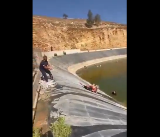 في مجدل سلم... الدفاع المدني ينقذ ثعلباً من بركة زراعية 