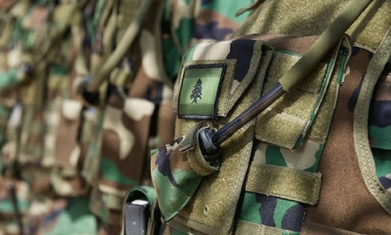 بالصور: "الجيش" ينعى شهيديه