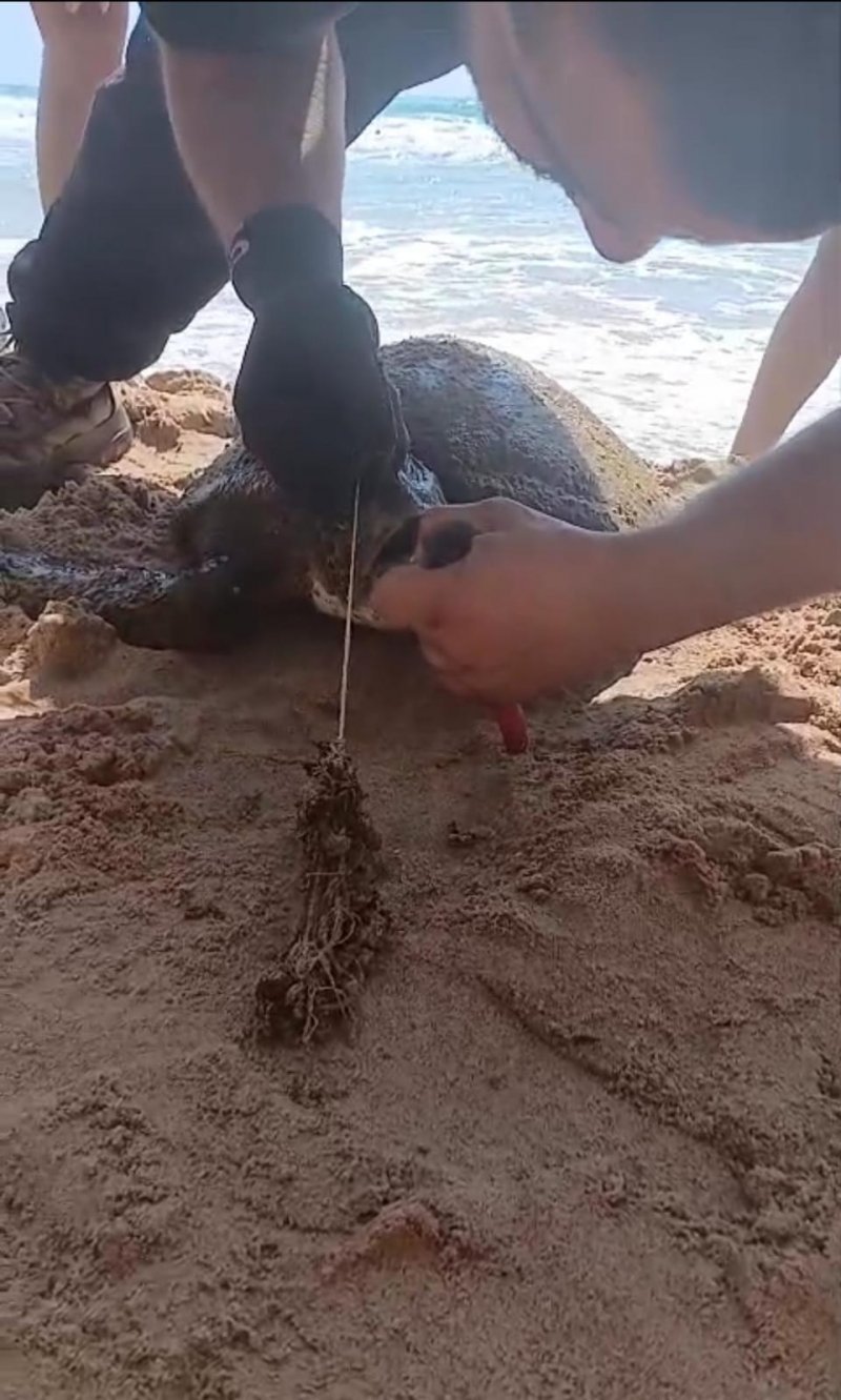 بعد انتشال جثة من البحر قبالة المرفأ... بيان من الدفاع المدني 