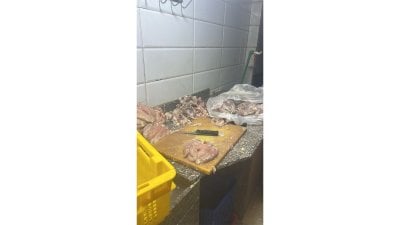 فضيحة صحية في عكار: ضبط أطنان من الدجاج الفاسد وتوقيف شبكة كاملة