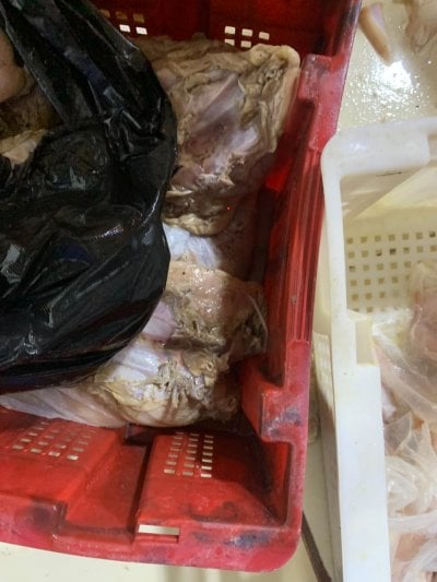 دجاج غير صالح للاستهلاك... فضيحة غذائية في حلبا