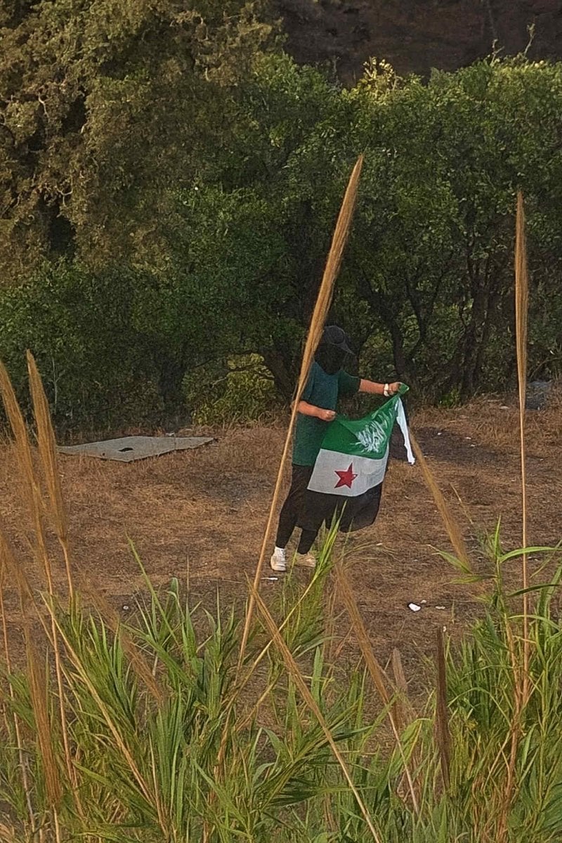 ملثّمو المنصورية الحاملون لأعلام "سورية"… هل كان تهديدًا أمنيًا حقيقيًا؟ 
