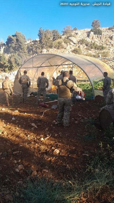  إتلاف حشيشة وتفكيك خيم زراعية... الجيش  يضرب تجارة المخدرات في بعلبك
