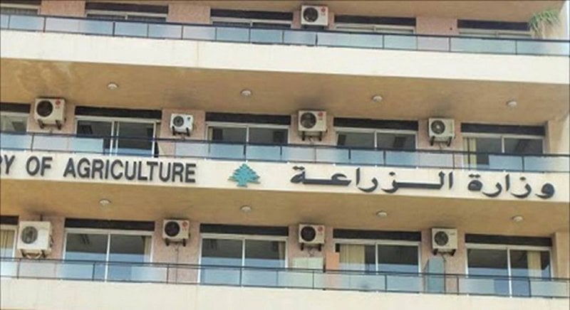 الظاهرة المناخية الطارئة: الغابات اللبنانية تشهد يبساً غير مسبوق