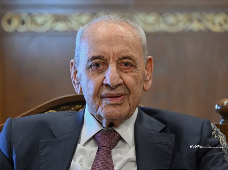 بري يتعهّد بحل السلاح بـ 3 أسابيع
