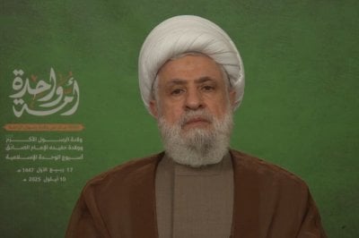 لا تقفوا إلى جانب إسرائيل... قاسم: كفوا عن طعن المقاومة في ظهرها 