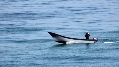 لبنان يسجل ظهوراً نادراً لسمكة 