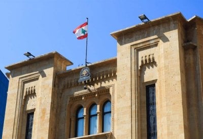 النواب بين 