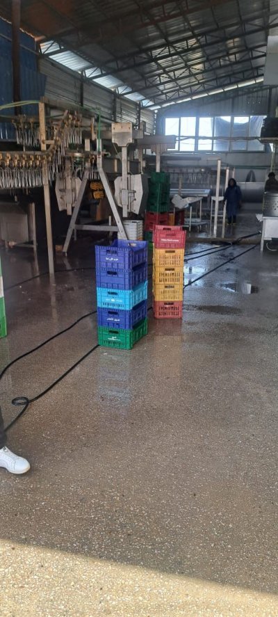 في تعلبايا… مسلخ مخالف يتحدّى الدولة ويواصل تلويث البيئة! (فيديو)