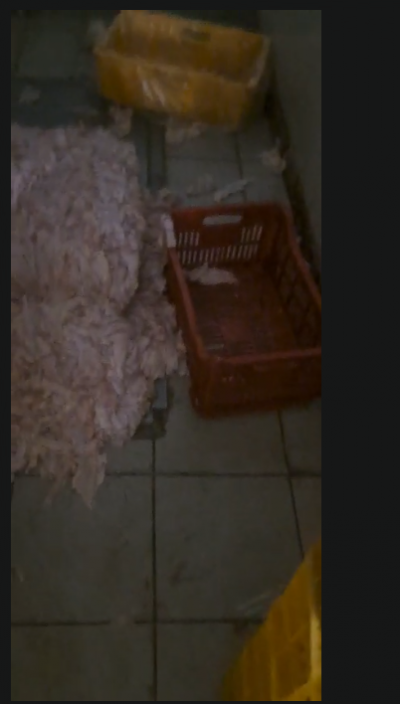 6 موقوفين في فضيحة المسلخ... والتحقيقات تكشف المستور
