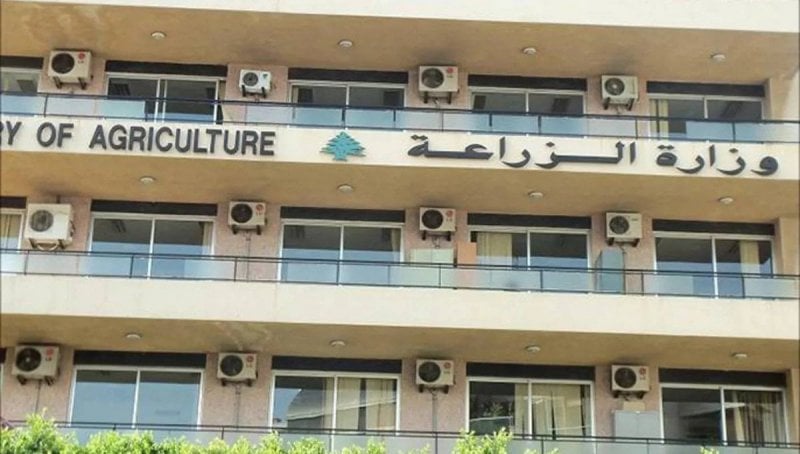 بعد حادثة تسميم مياه في المجيدية... "الزراعة" تتحرّك