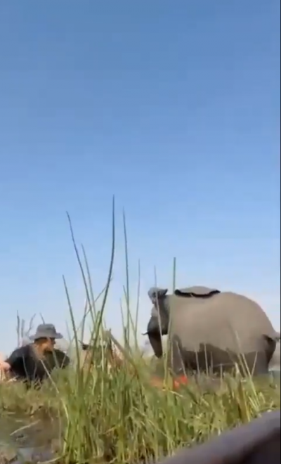 سيدة تنجو بأعجوبة من هجوم فيل غاضب على قوارب سياح (فيديو)