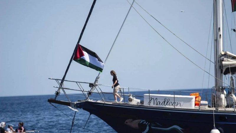 لحظة اعتقال الناشطة السويدية غريتا ثونبرغ على يد الجيش الإسرائيلي (فيديو)