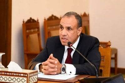 نرحب بها وندعمها... وزير مصري: قوة الاستقرار في غزة جزء من خطة ترامب