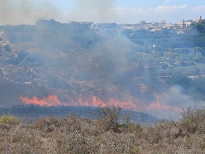 حريق كبير يضرب بلدة الزرارية… وفرق الإطفاء في حالة استنفار (فيديو)