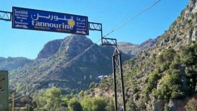 النتائج خلال 48 ساعة... الأبحاث العلمية الزراعية: الفحوصات لدى مختبرات معتمدة فقط