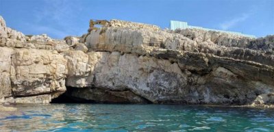 موائل الحياة البحرية في خطر… ووزارة البيئة تتحرك