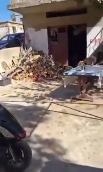بين النار والحطب... مداهمة أمنية تثير التساؤلات في حولا (فيديو)