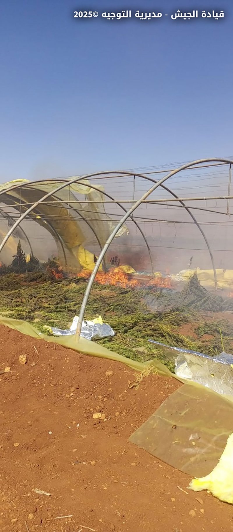 عملية متزامنة للجيش: إتلاف حشيشة في بعلبك وتوقيف مروّجي كبتاغون في البقاع والشوف (صور)