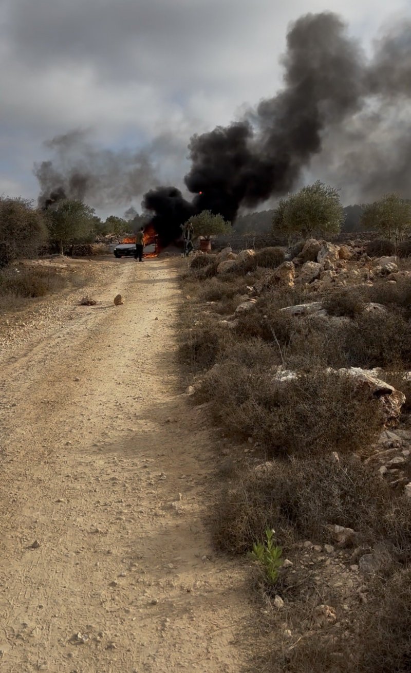 اعتداء وحشي يهزّ الضفة... مستوطنون يضربون مزارعين ويُحرقون مركبات (صور + فيديو)