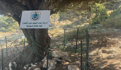 لبنان يحرس رمزه الأبدي... 