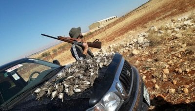 اصطاد طيورًا مهدّدة بالانقراض... و