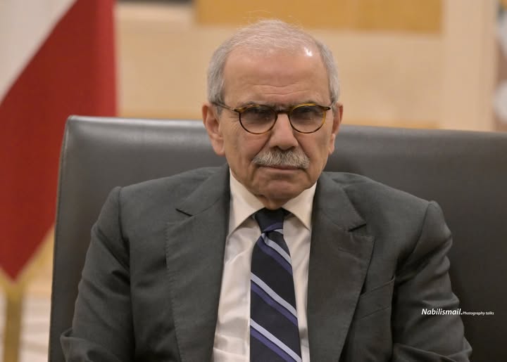 خطوة استباقية... سلام يتسلّم تقريراً لتفادي تصنيف لبنان على "اللائحة السوداء" خطوة استباقية... سلام يتسلّم تقريراً لتفادي تصنيف لبنان على "اللائحة السوداء"