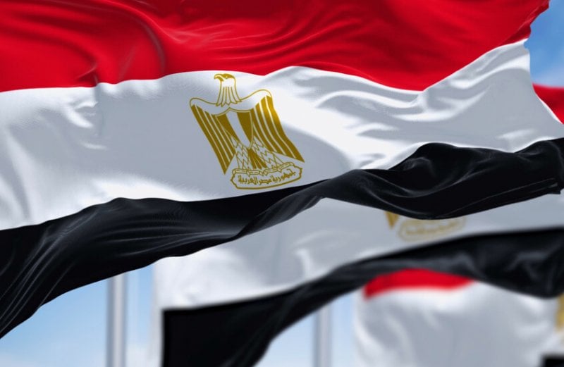 حركة مفاجئة في الإدارة المحلية المصرية... إقالة جماعية تطال 15 مسؤولاً حركة مفاجئة في الإدارة المحلية المصرية... إقالة جماعية تطال 15 مسؤولاً