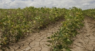 الجفاف يطرق أبواب 2025… و