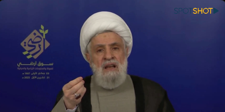 "السياديون الحقيقيون"... قاسم: من أراد الطائف لا يمكنه أن يختار جزءًا منه