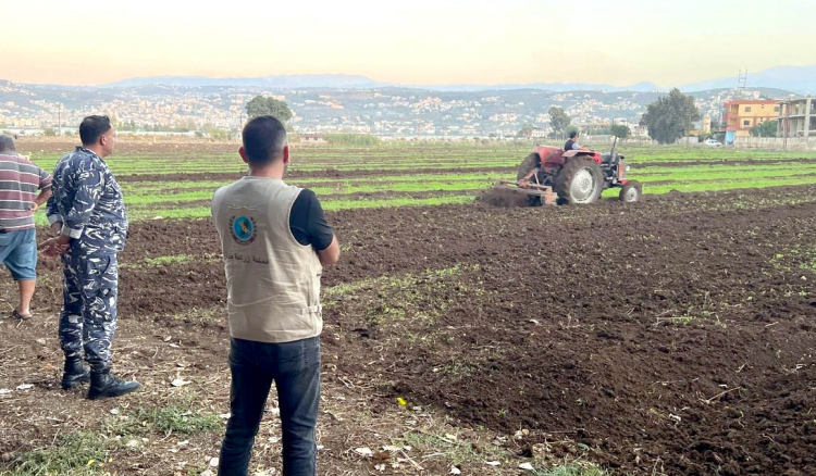 "الزراعة" تتلف محاصيل مخالفة وتختم الأراضي بالشمع الأحمر "الزراعة" تتلف محاصيل مخالفة وتختم الأراضي بالشمع الأحمر