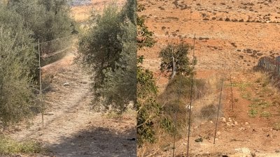 عملية نوعية في البقاع... 