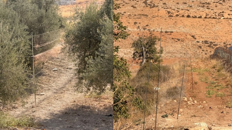 عملية نوعية في البقاع... "الأمن" ييحبط أخطر عمليات الصيد الجائر عملية نوعية في البقاع... "الأمن" ييحبط أخطر عمليات الصيد الجائر