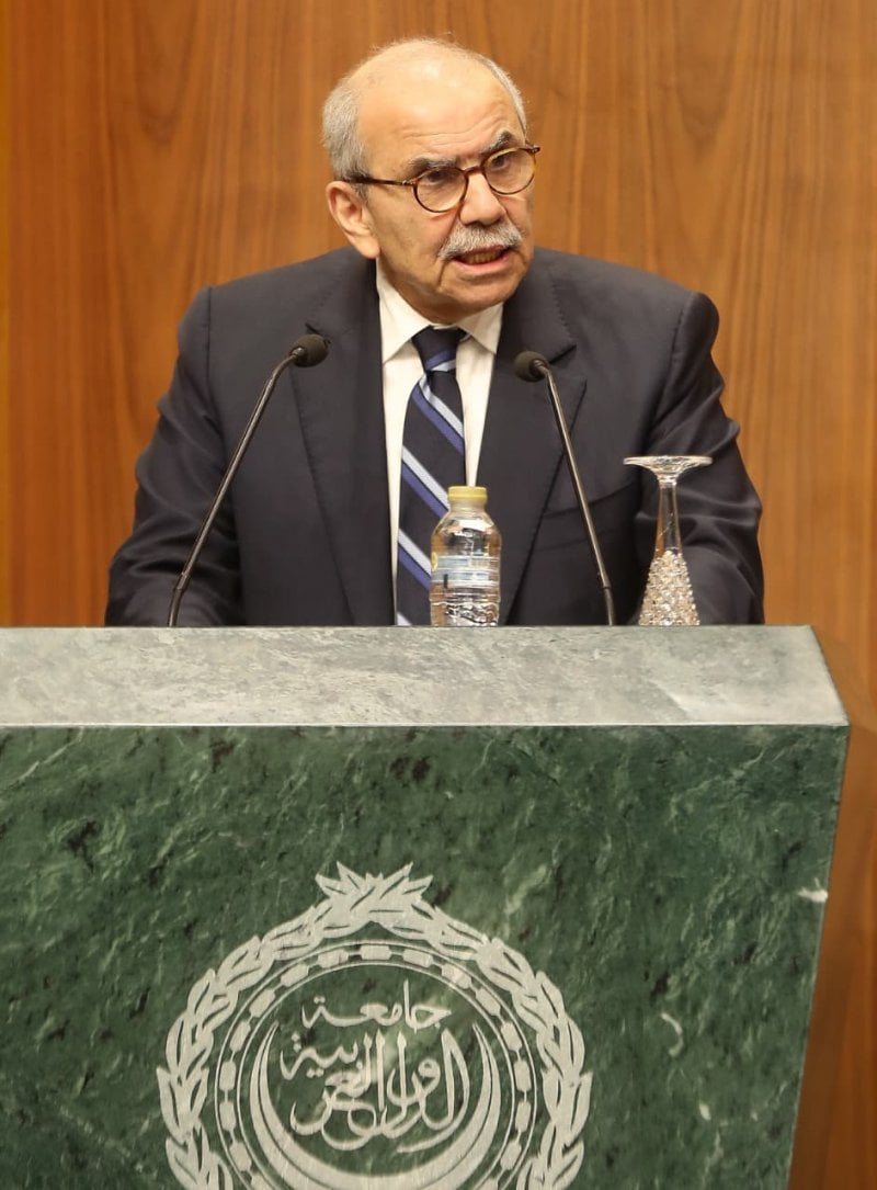 المرحلة الدقيقة... سلام من القاهرة: لبنان سيبقى منفتحاً على كل المبادرات (صور)