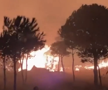 حريق ضخم في عربصاليم... والدفاع المدني يطلب الاغاثة (فيديو)