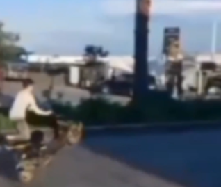  بعد استعراض خطِر على دراجتين ناريتين... مفرزة سير صيدا تتحرّك (فيديو)