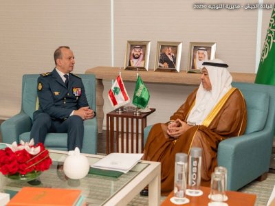 لتعزيز التعاون الدولي وتثبيت الاستقرار جنوباً... هيكل في 