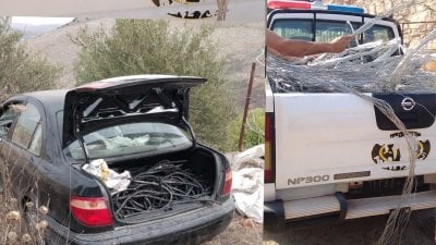 بجرمَي المخدرات وسرقة أسلاك كهربائية... 