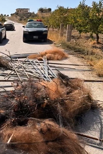 حملة بيئية في البقاع... قوى الأمن تكشف عن أكبر عملية لمكافحة الصيد الجائر (فيديو) 