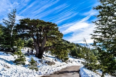 الشتاء قادم.. حضروا ملابسكم الشتوية!
