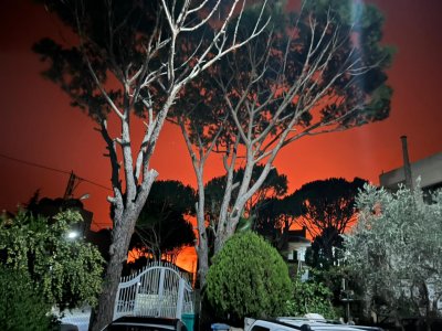 مناشدات عاجلة… النيران تلتهم بلدات قضاء الشوف والرياح تعقّد الإخماد (فيديو)