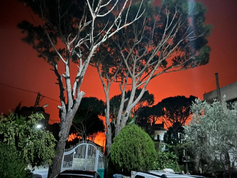 مناشدات عاجلة… النيران تلتهم بلدات قضاء الشوف والرياح تعقّد الإخماد (فيديو)