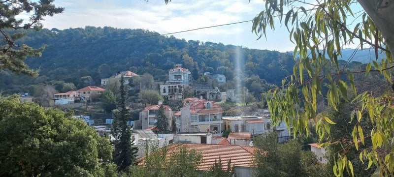 إنتقام "بلدي"