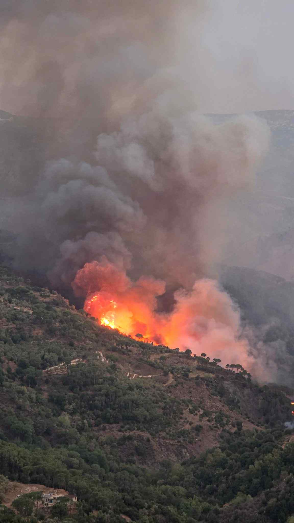 حرائق بكاسين تقترب من المنازل... ونداء عاجل قبل الكارثة! - <a class='entities-links' href='/entity/1209921769/lebanon/ar/1?utm_term=PublicFigures-lebanon&utm_source=Lebanon24-Frontend&utm_campaign=PublicFigures&utm_medium=PublicFigures-lebanon&id=42211&catid=0&pagetype=PublicFigures'>lebanon</a> Debate - ليبانون ديبايت