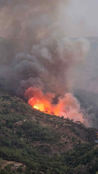 حرائق بكاسين تقترب من المنازل... ونداء عاجل قبل الكارثة!
