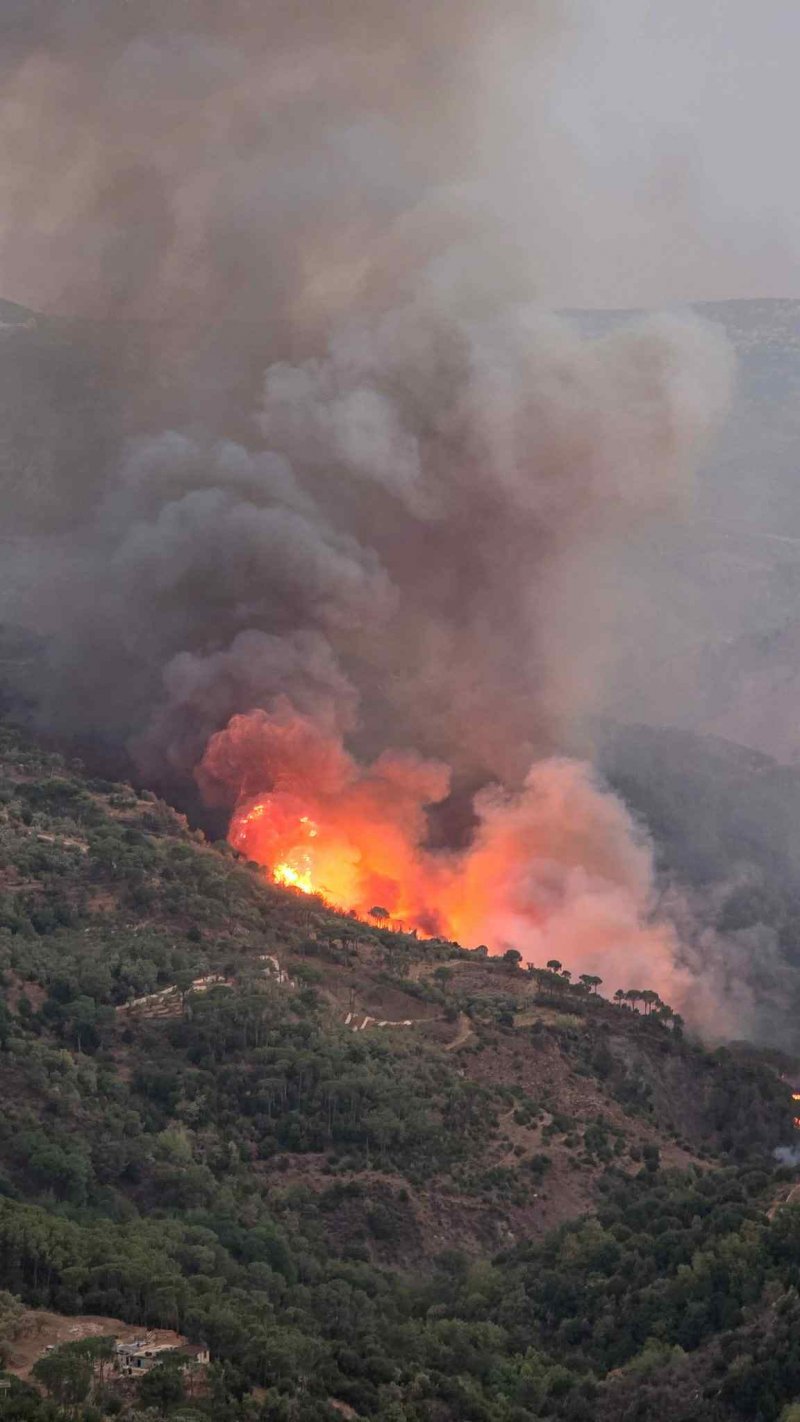 حرائق بكاسين تقترب من المنازل... ونداء عاجل قبل الكارثة!