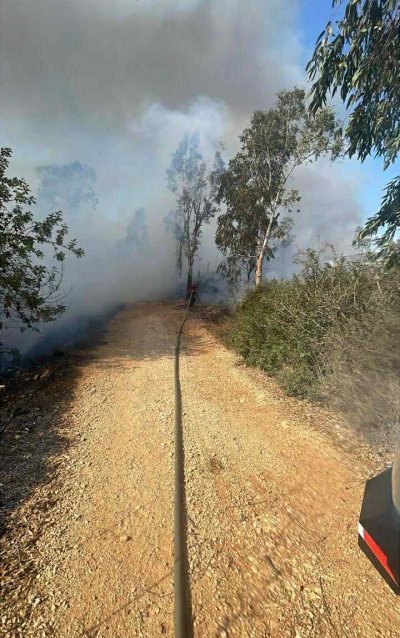 خبير بيئي يدق ناقوس الخطر: نحن في مرحلة حرجة!

