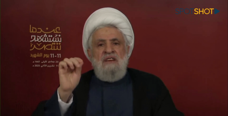 قاسم: المشكلة ليست في السلاح بل في من يريد إنهاء وجود المقاومة من أصلها!