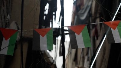 الفصائل الفلسطينية منفتحة على الحوار مع لبنان (فيديو)